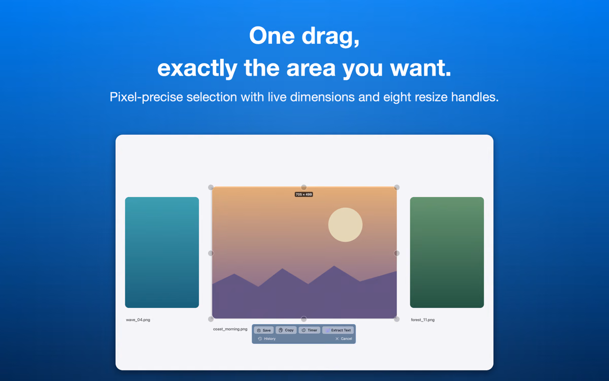 Selection capture with live dimensions and eight resize handles