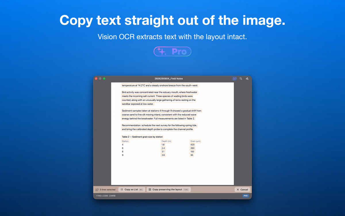 Text recognition extracting text from a screenshot with the layout intact